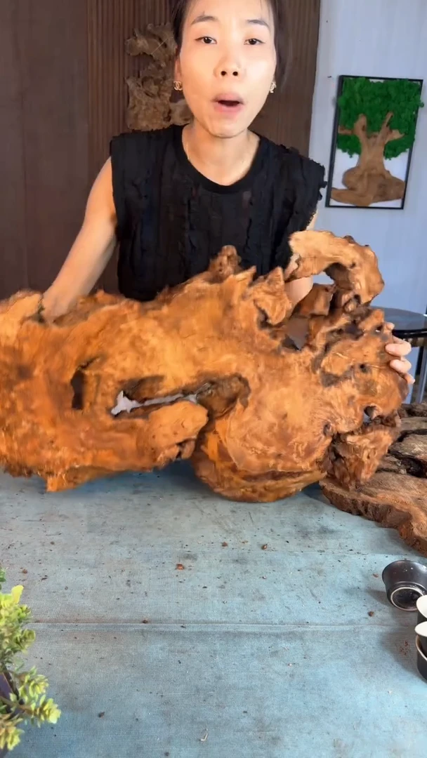 香杉木杉木瘤随型【原料】017