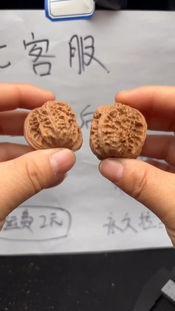 把件文玩核桃497白狮子