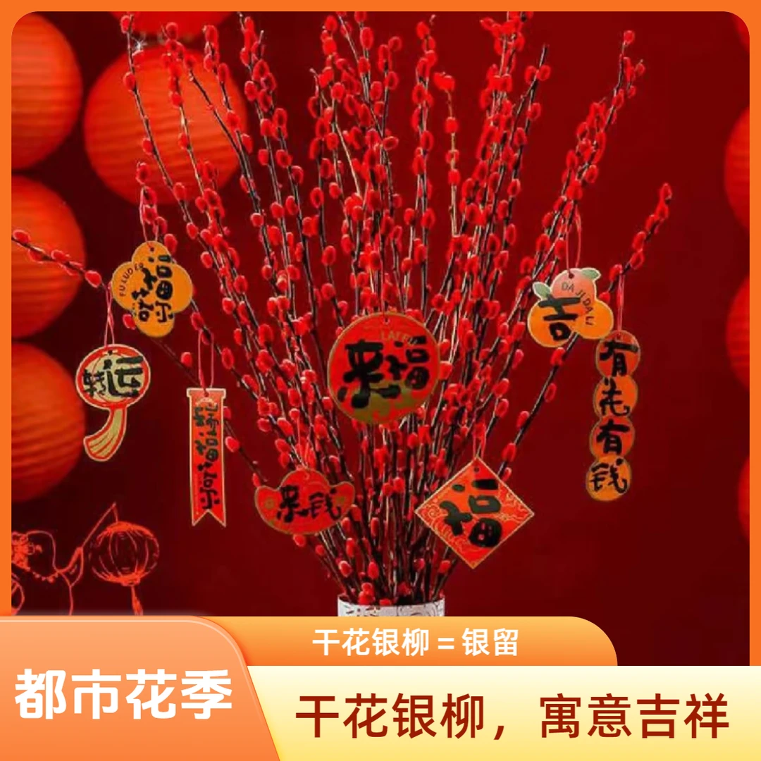 【红色银柳30支】染色银柳任意两单顺丰包邮广东省福建省浙江温州