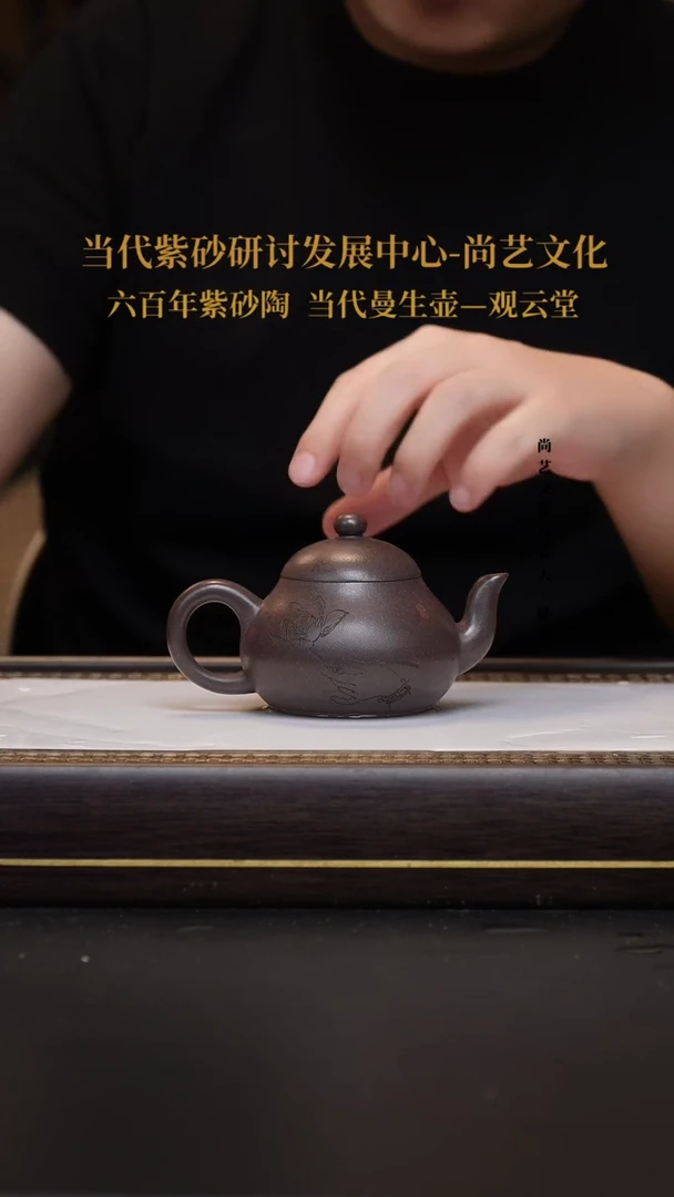 茶壶紫砂宜兴紫砂 紫砂壶 FWH