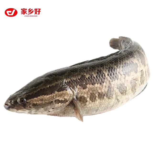 黑鱼 1kg