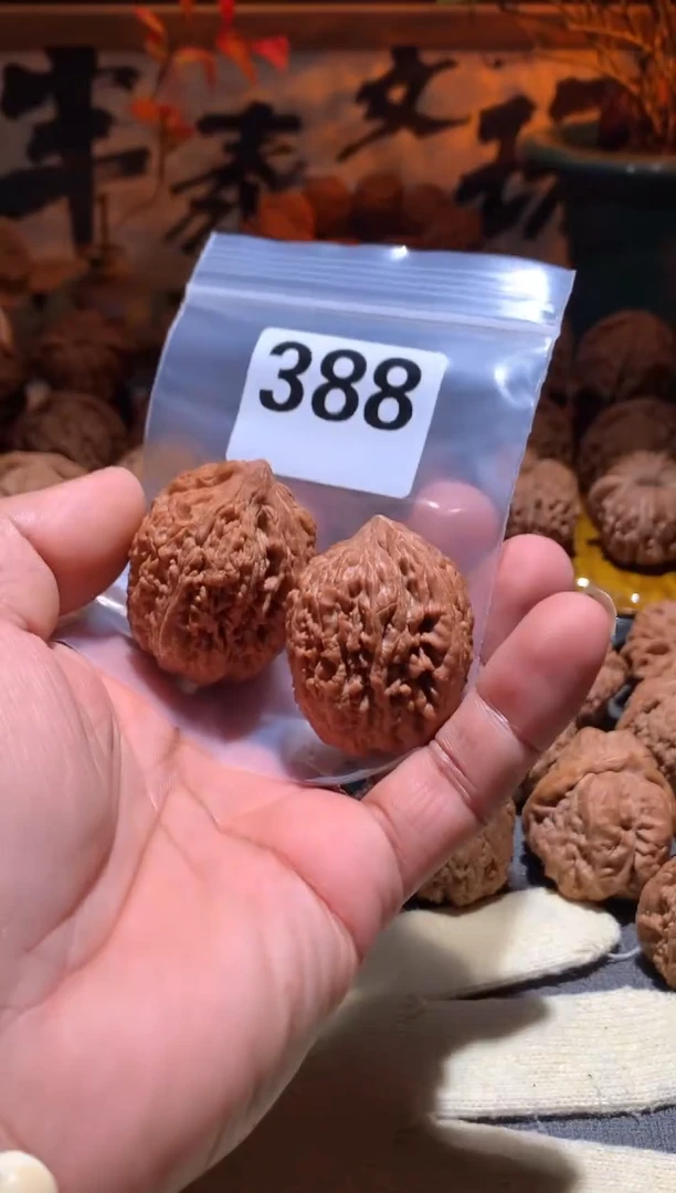 把件桃核贝****中388号 大蒜头36  尺寸左右盘玩打底不支持退换