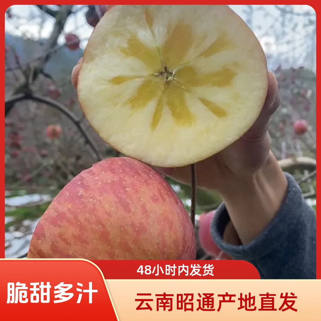 云南昭通老树冰糖心丑苹果[条红］新鲜现摘脆甜多汁应季水果