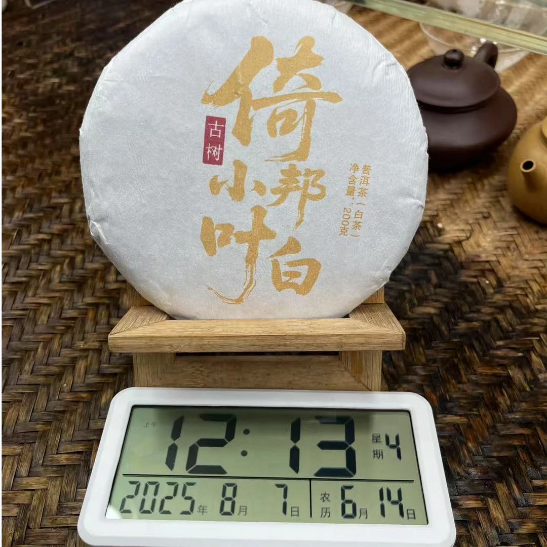 A555-2025倚邦小叶200克饼白茶8月6