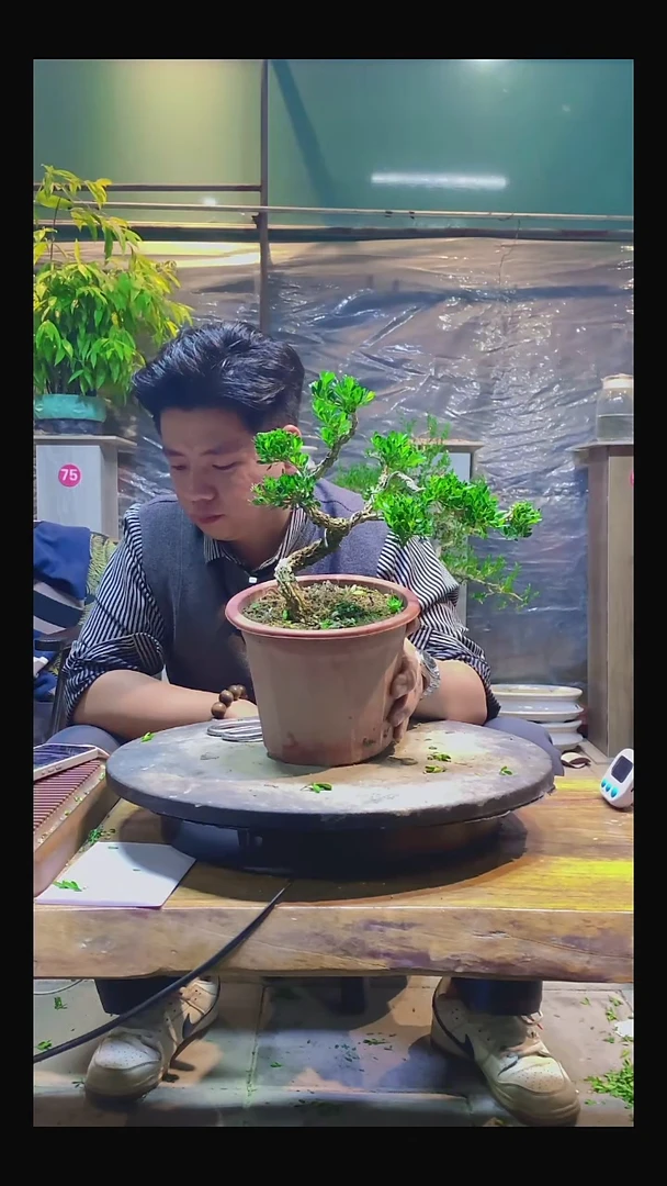 完全开放海****窗0000000000000000