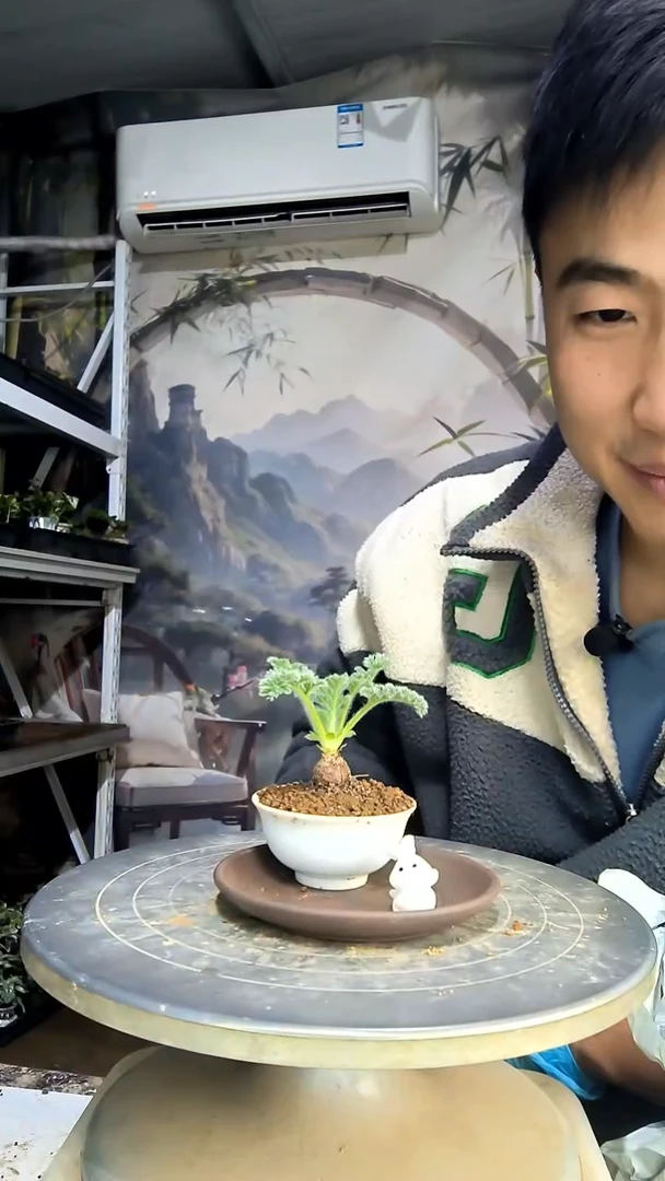 滨*中青园艺一物一拍花94