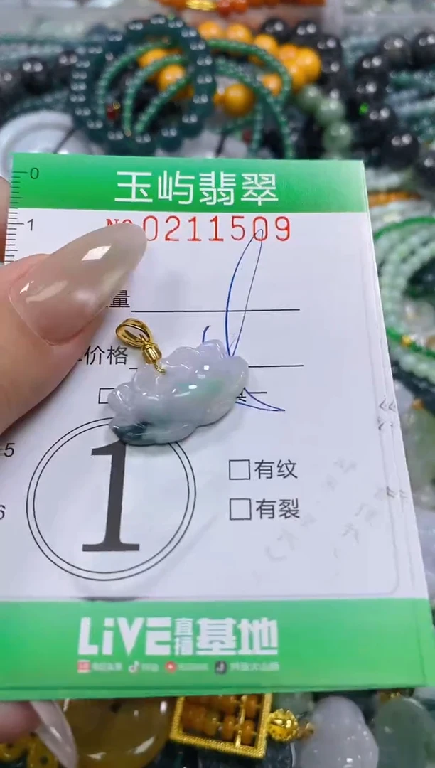 颈饰未镶嵌翡翠闪购0211509