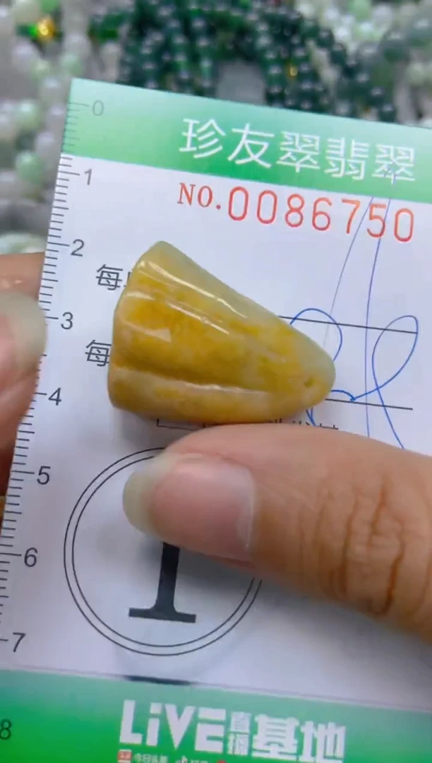 【闪购商品】翡翠颈饰未镶嵌闪购0086750
