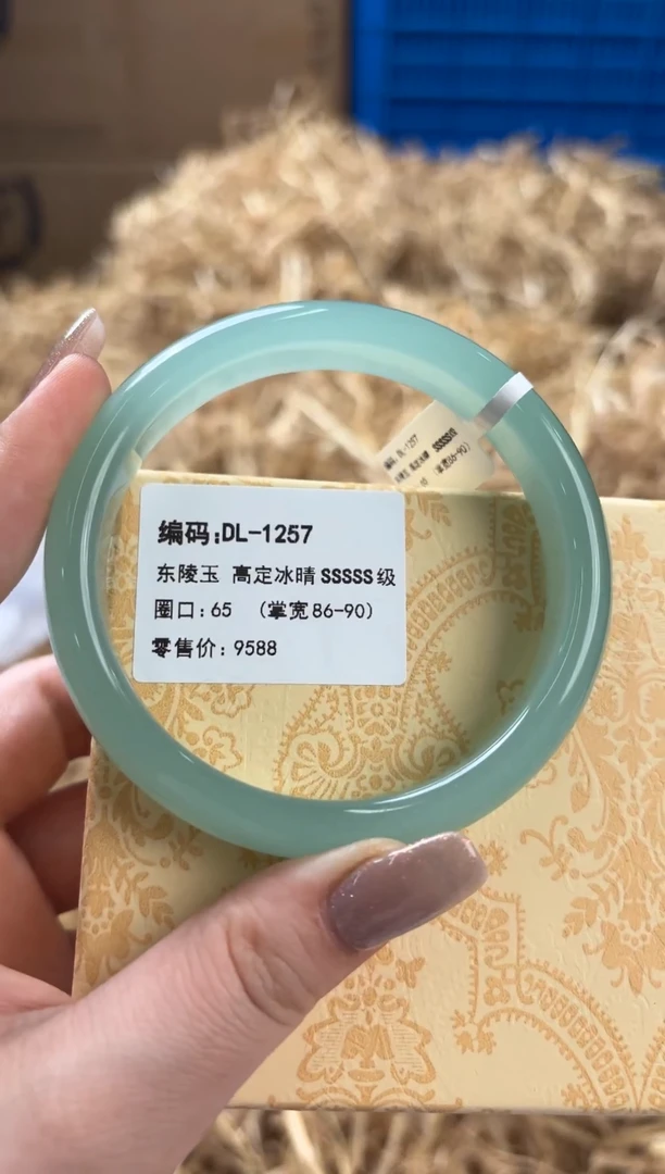 未镶嵌手镯石英质玉DL-1257