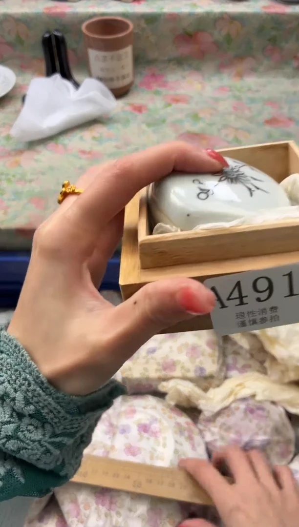 瓷片翠       A491*