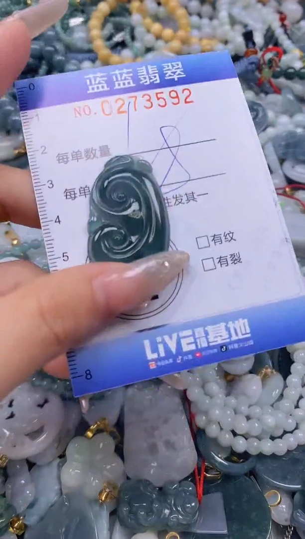 翡翠未镶嵌颈饰闪购0273592