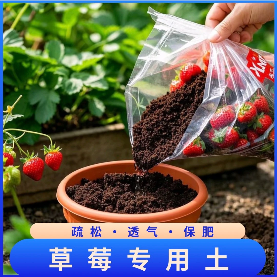 草莓专用土营养土草莓种植土盆栽土酸性土盆栽养花通用营养肥料