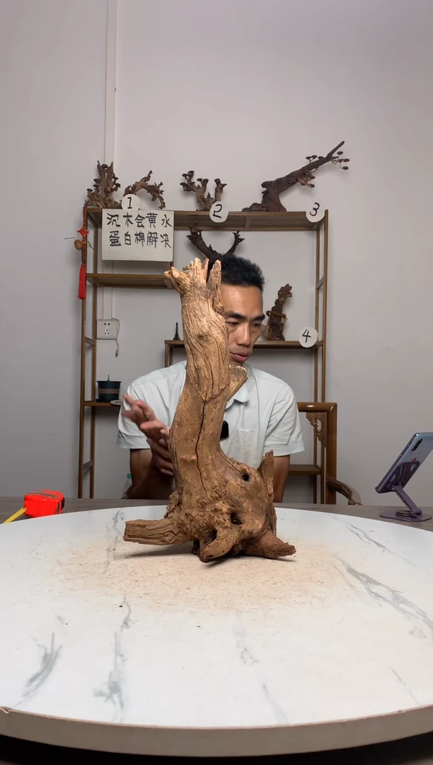 顺**然鱼缸造景沉木摆件