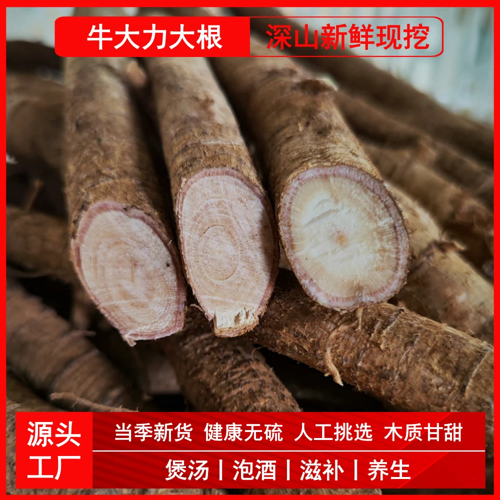 深山野货牛大力大根新鲜现挖粤式煲汤滋补养身中药材500g同源中尚
