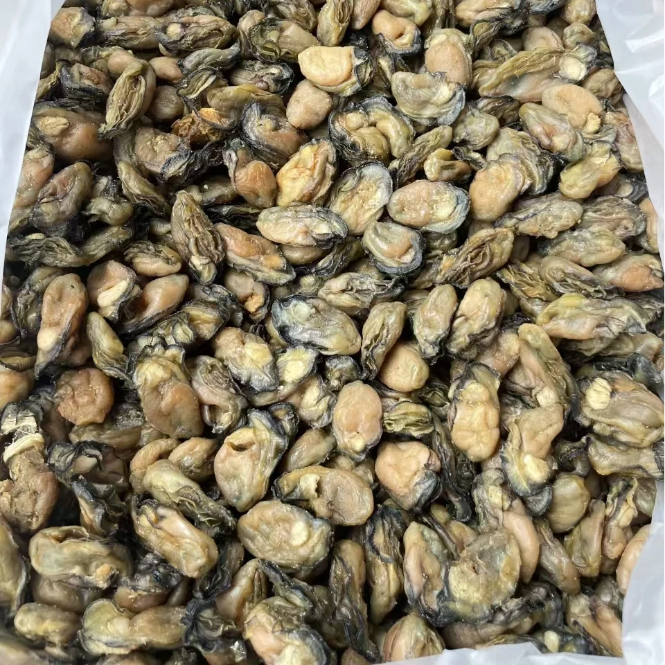 【年货】蚝豉干2号