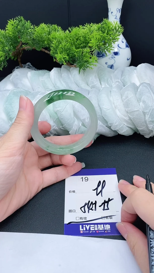 未镶嵌手镯翡翠19