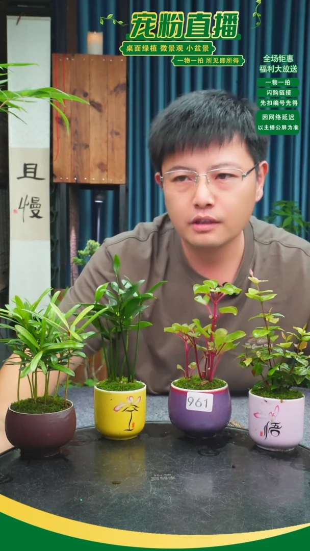 无花朵桥***?苔藓微景观961号