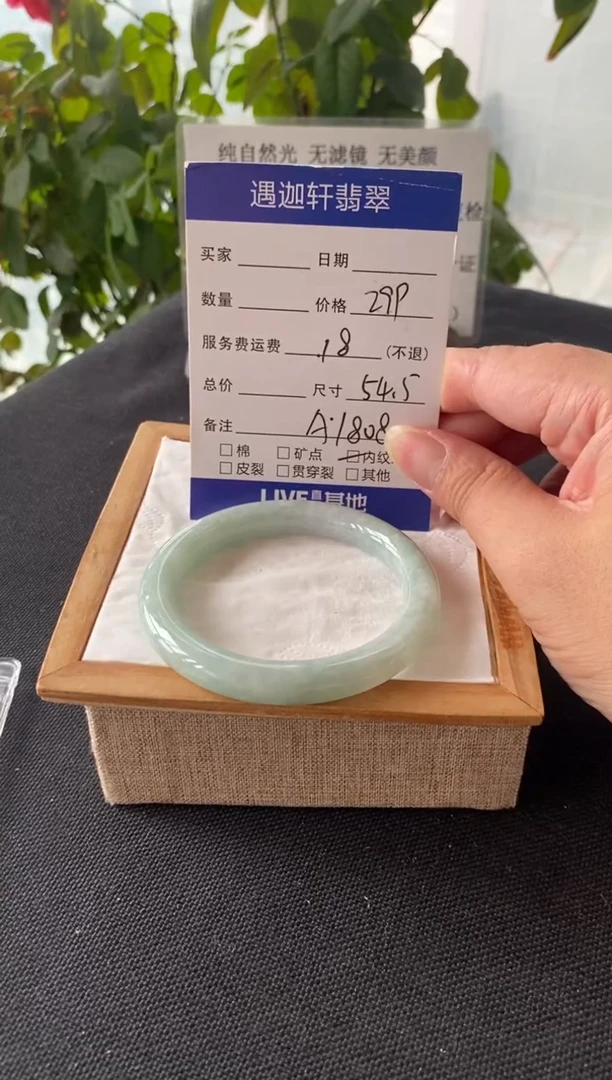 未镶嵌手镯翡翠54.5圈口 A1808编码
