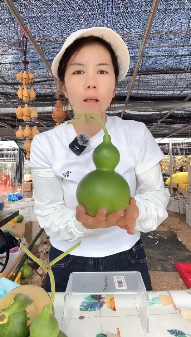 728天然葫芦摆件 一物一拍龙头不保售后