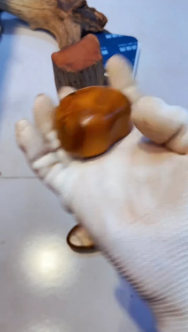 柏木（崖柏）20太行崖柏陈化手把手串