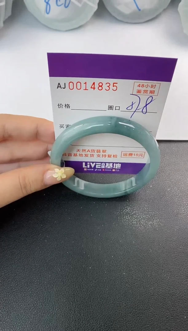未镶嵌手镯翡翠天然A货翡翠