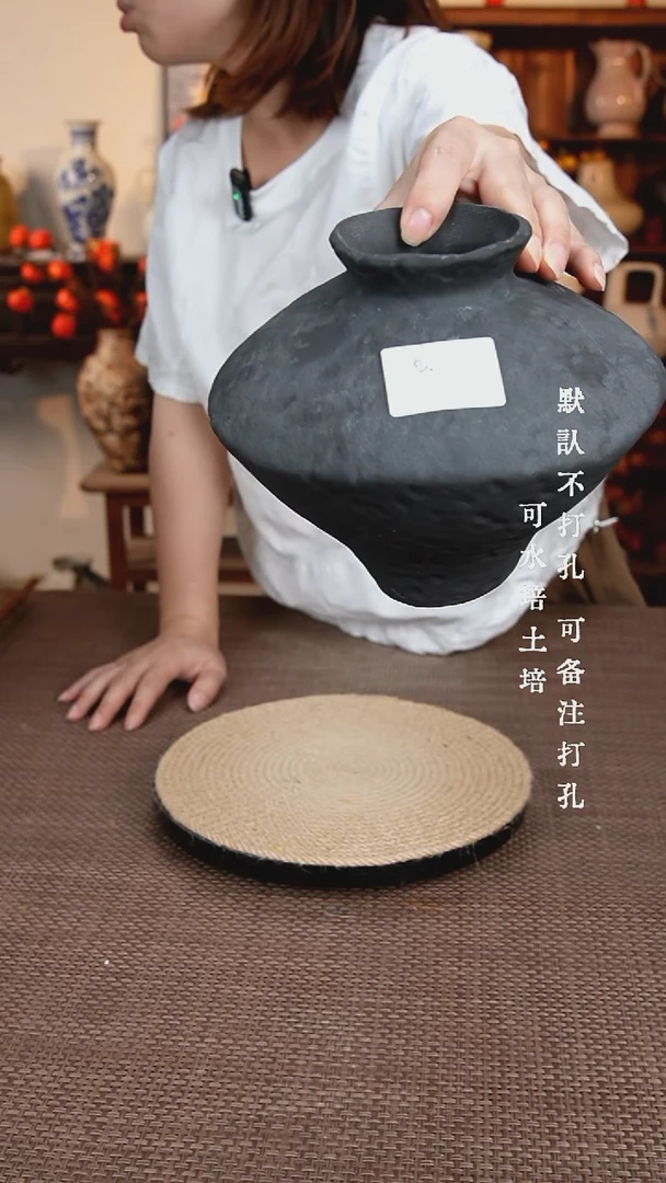 摆件001景德镇陶瓷花瓶