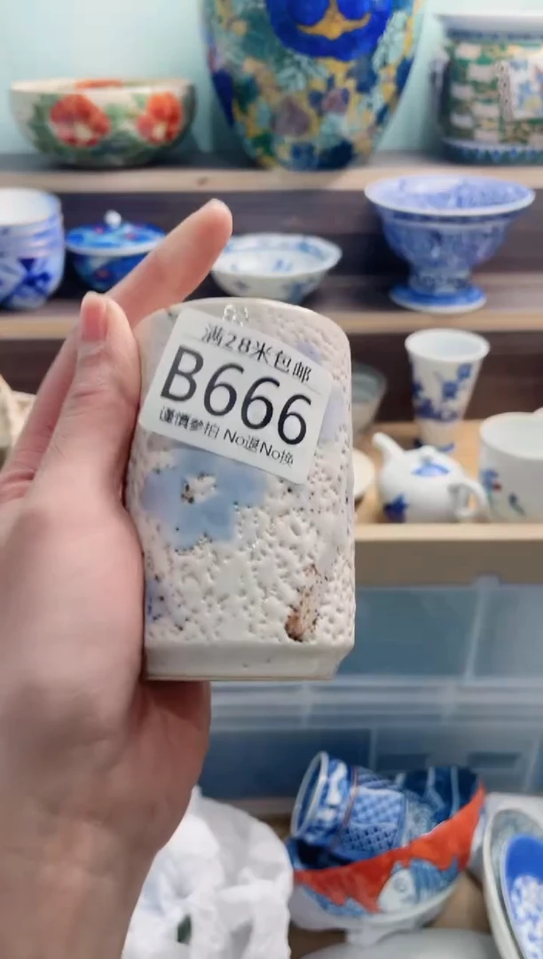【闪购商品】B666***********