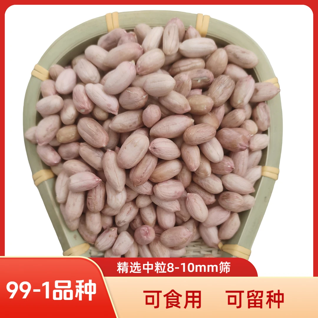 99-1精选大颗粒，8-10mm筛