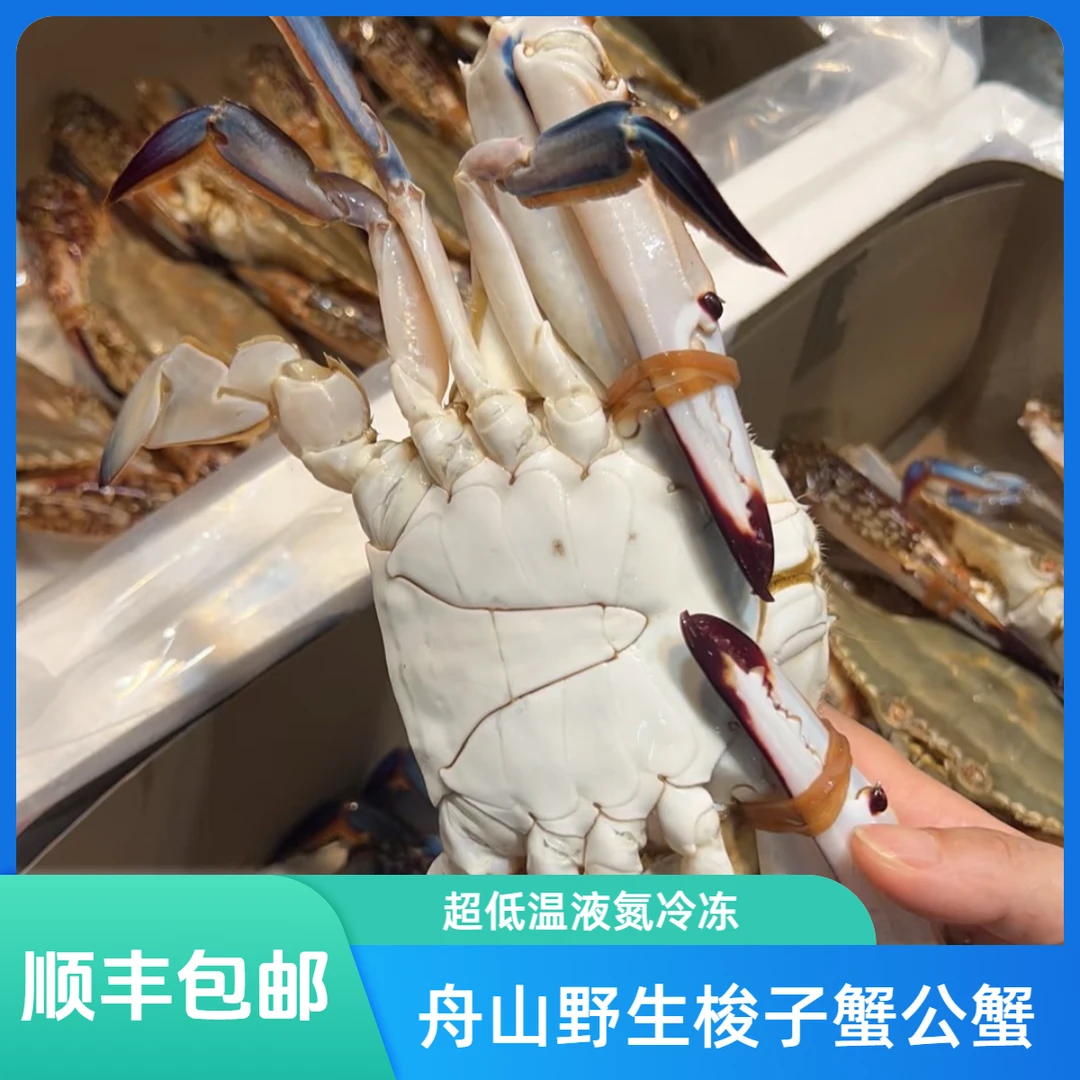 舟山野生梭子蟹【公蟹】流网大白蟹液氮超低温单只6-8两左右4斤到手6只蟹【冻蟹】
