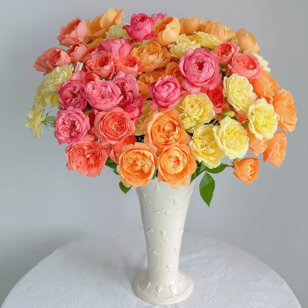 【花和优品】彩色果汁——多头玫瑰