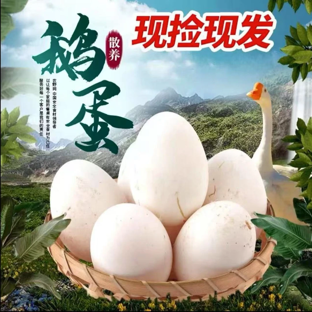 正宗纯天然农家散养鹅蛋新鲜土鹅蛋特产新鲜散养土鹅蛋。