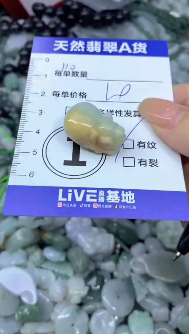 颈饰未镶嵌翡翠天然翡翠A货批量多样性发一件