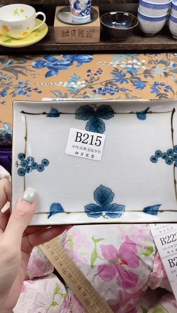 瓷片吃***子                B215