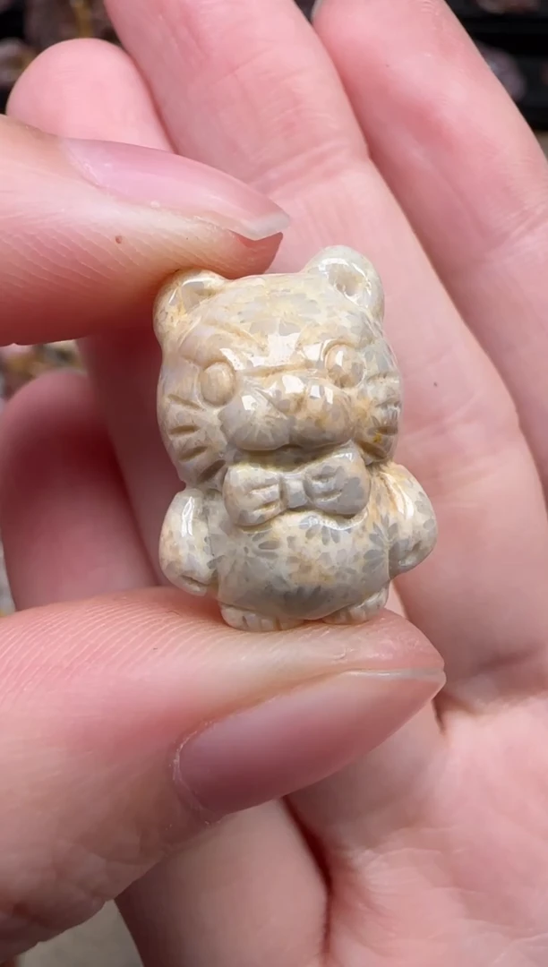 颈饰未镶嵌硅化珊瑚（珊瑚玉）738