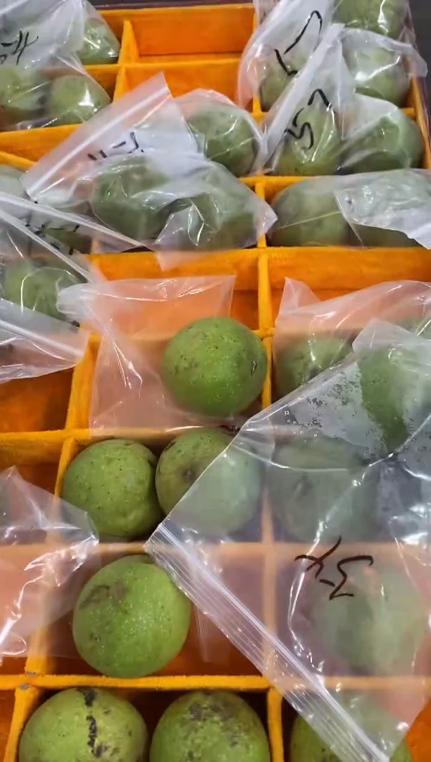 文玩核桃把件年****a谨慎下单，青皮开不tui不huan！小粗筋1对青皮