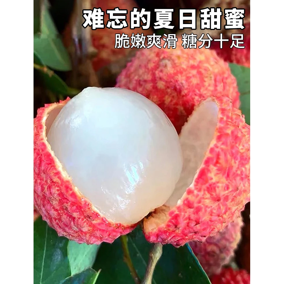 广东增城桂味荔枝现摘现发香甜多汁自然成熟不泡药水冷链包邮