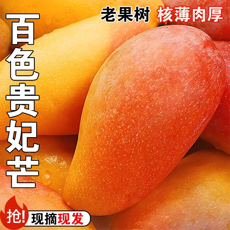 A5【放软食用】广西百色贵妃芒新鲜老树熟当季芒果香甜软糯多汁