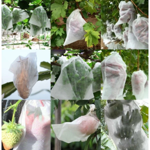 无纺布葡萄套袋防虫防鸟防雨水果网袋水果透气保护套袋