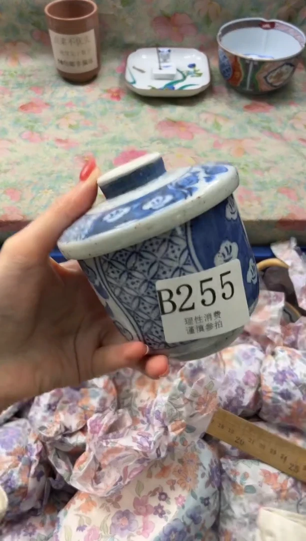 瓷片泡***猫       B255