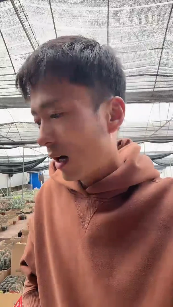 张***子自根习自野米奇头39.99
