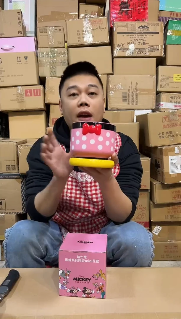 【闪购商品】杯陶瓷原盒米妮花盆