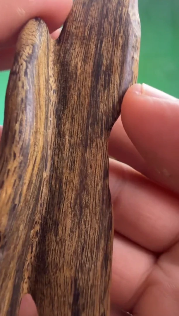 沉香手把件海南鸡母虫多样性发一
