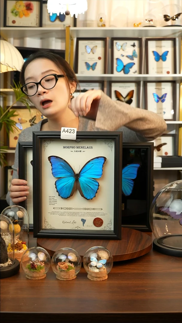 大蓝闪蝶-英文（10寸欧式黑框）A423