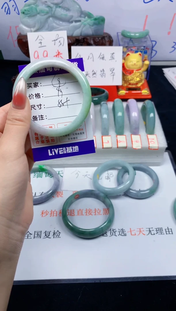 未镶嵌手镯翡翠9