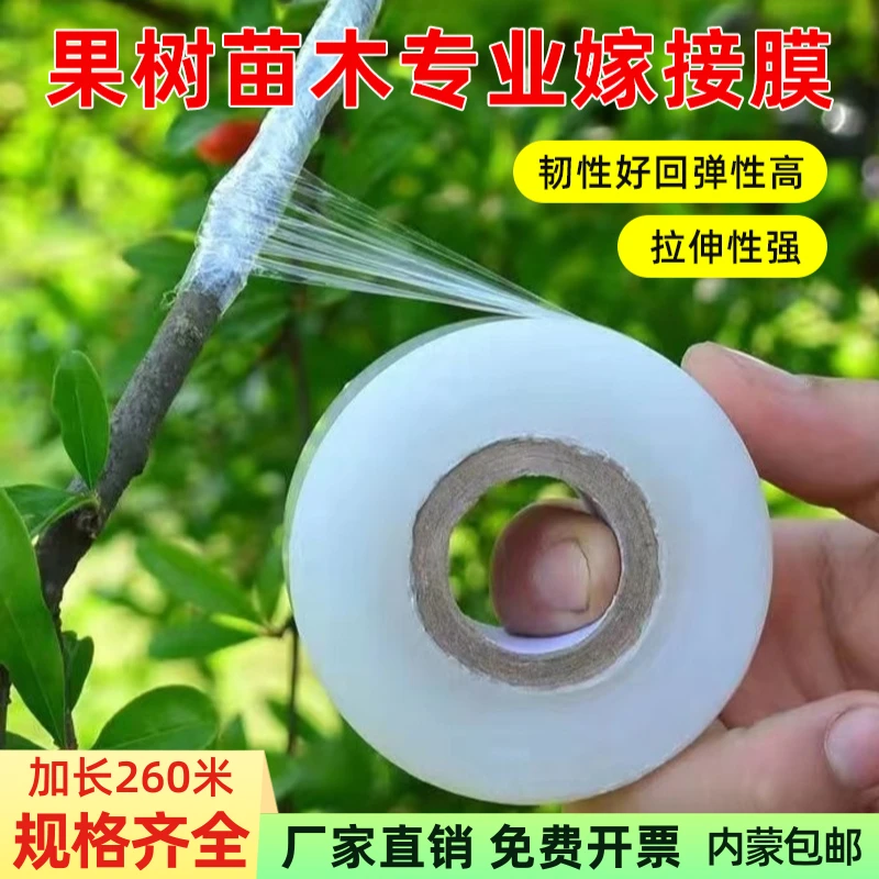 专业PE嫁接膜果树苗木专用膜缠绕膜自粘膜打包透明拉伸包扎薄膜