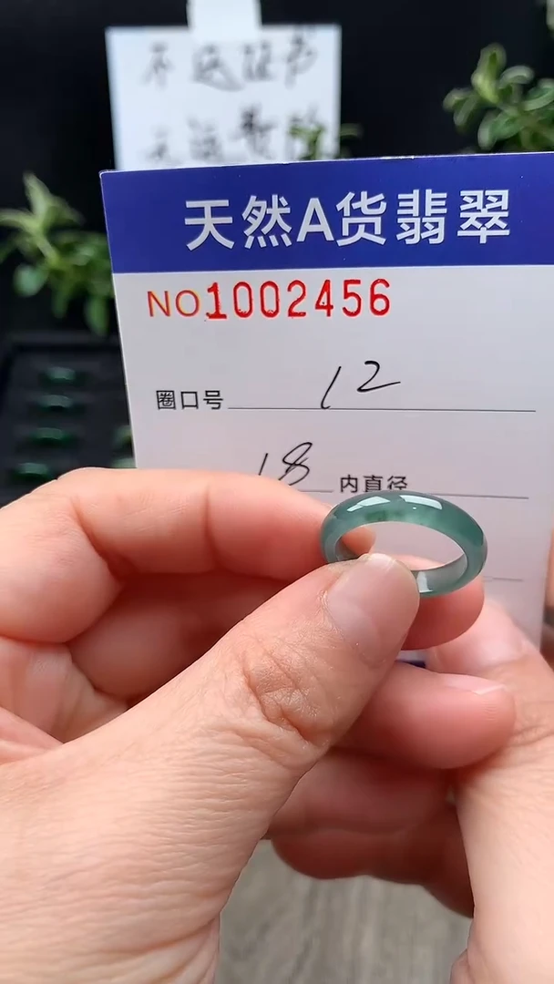未镶嵌戒指翡翠12#