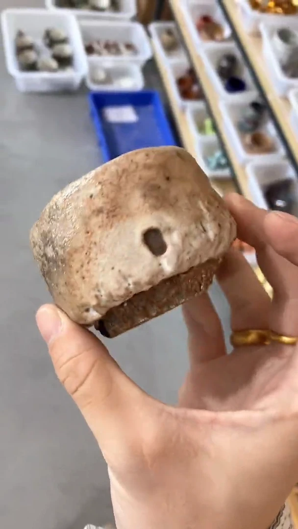 瓷片T255陶瓷茶具茶器