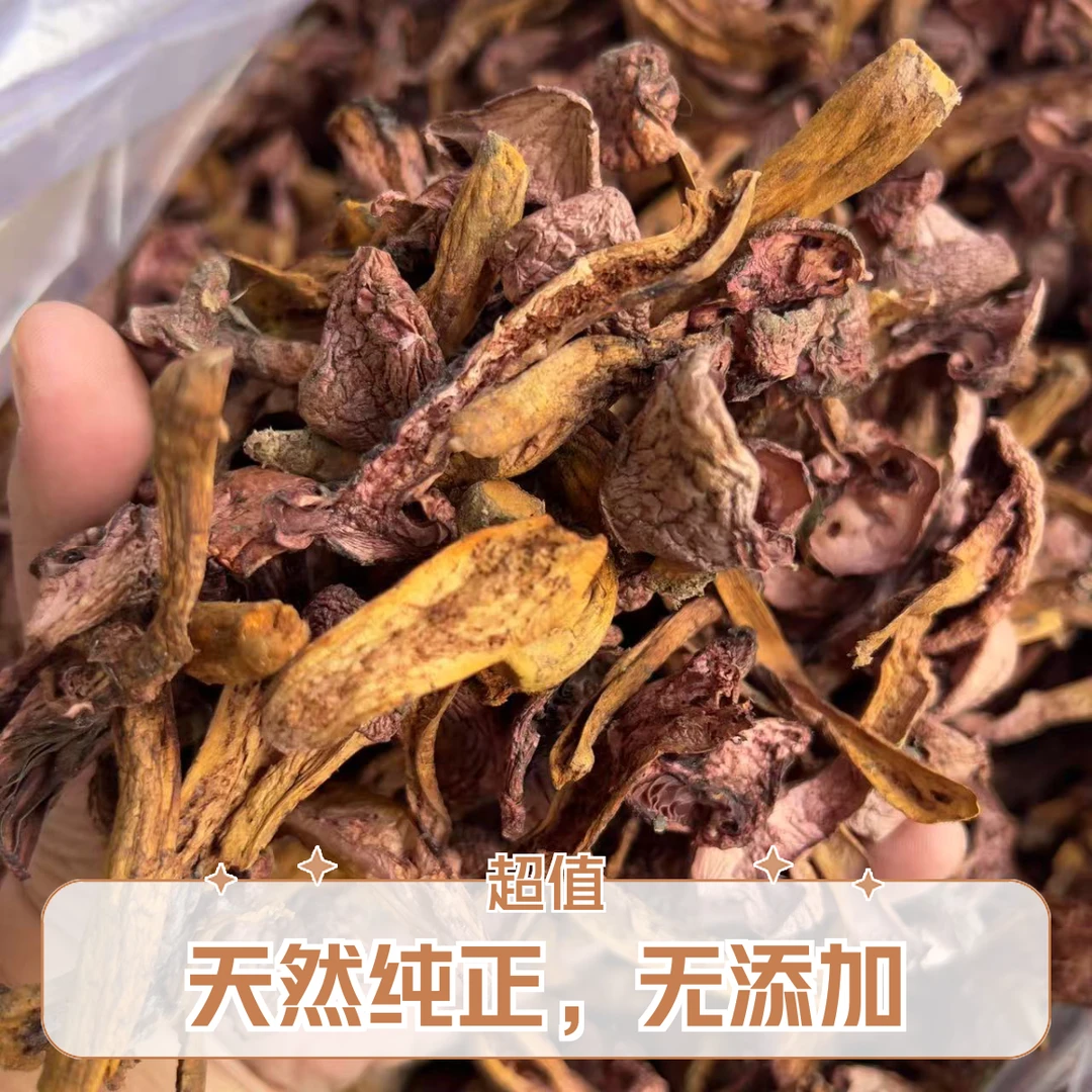 【极品肉蘑条】2025新采摘肉蘑/红蘑/围场蘑菇