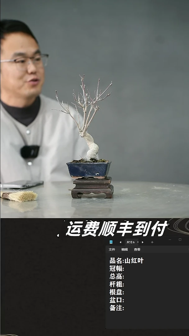 【闪购商品】34 山红叶