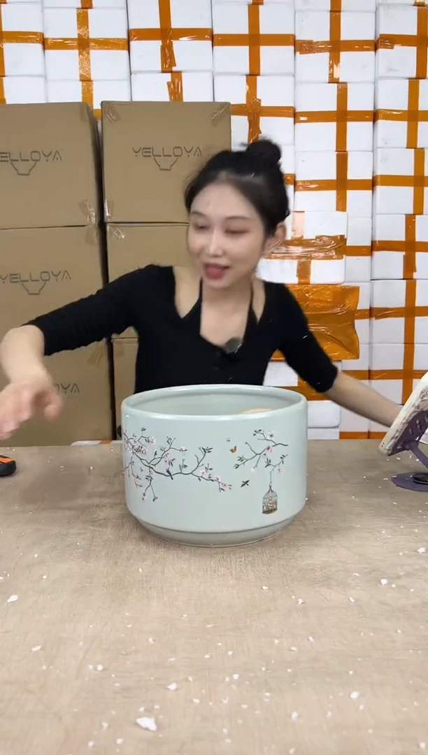 蝴蝶兰鸟笼鸟笼蓝色中号21x15